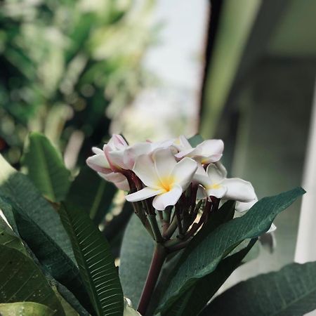 El Homestay Bali Нуса-Дуа Экстерьер фото