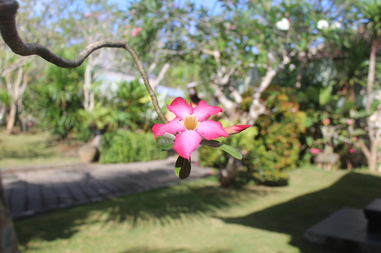 El Homestay Bali Нуса-Дуа Экстерьер фото