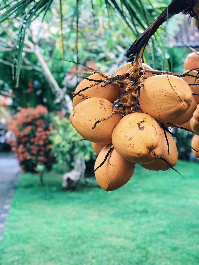 El Homestay Bali Нуса-Дуа Экстерьер фото