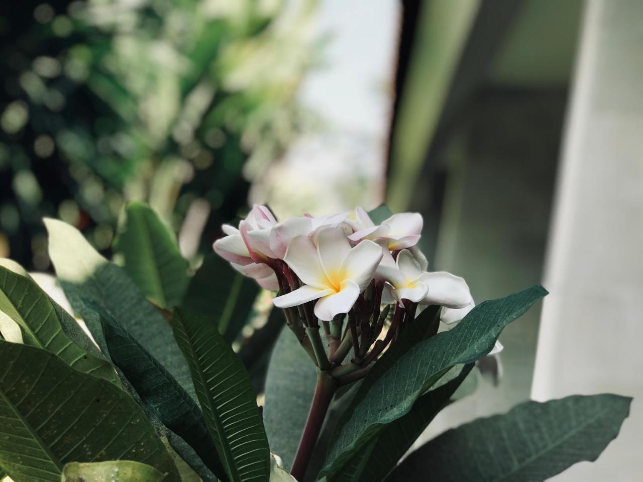 El Homestay Bali Нуса-Дуа Экстерьер фото